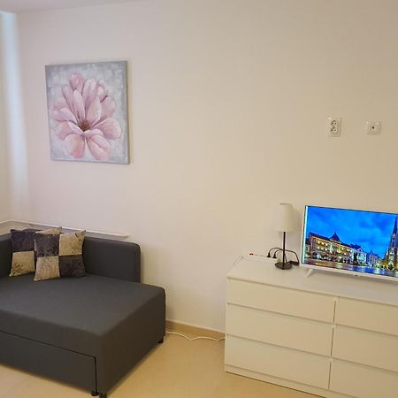 Podbara Center Lägenhet Novi Sad Exteriör bild