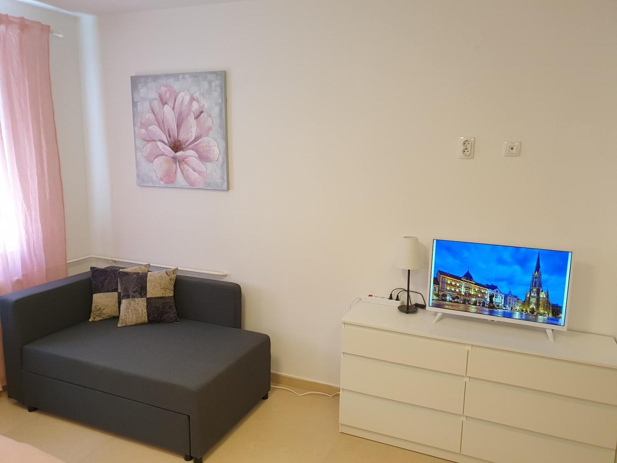 Podbara Center Lägenhet Novi Sad Exteriör bild
